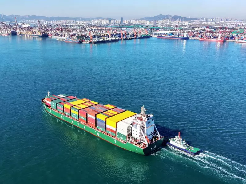 China's Massive Canola Purchase from Australia Signals Thawing Trade Relations