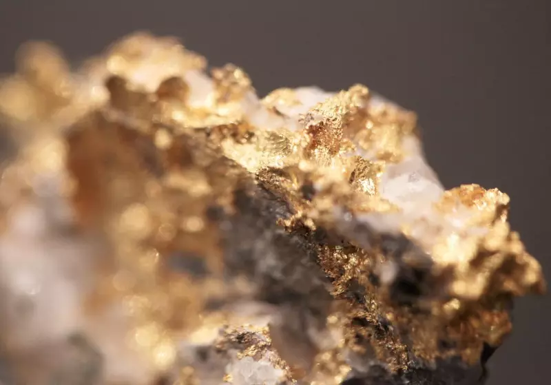 Coeur Mining Strikes US$7 Billion Deal to Acquire New Gold and Its Canadian Gold Mines