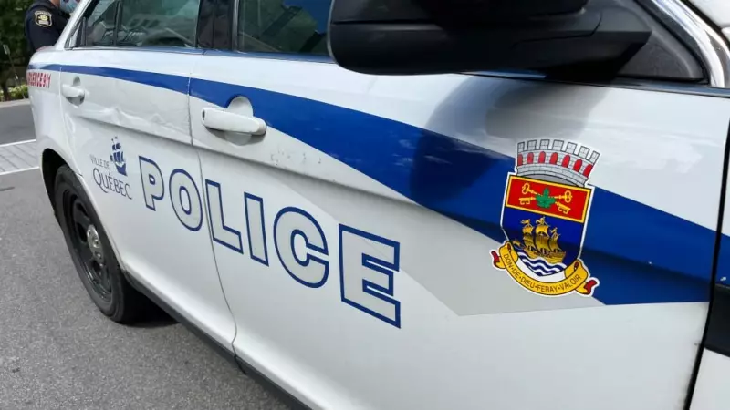 Driver killed in Quebec City collision with tree