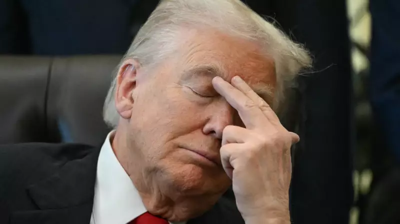 Economist Debunks Trump's False Claim That Grocery Prices Are Down