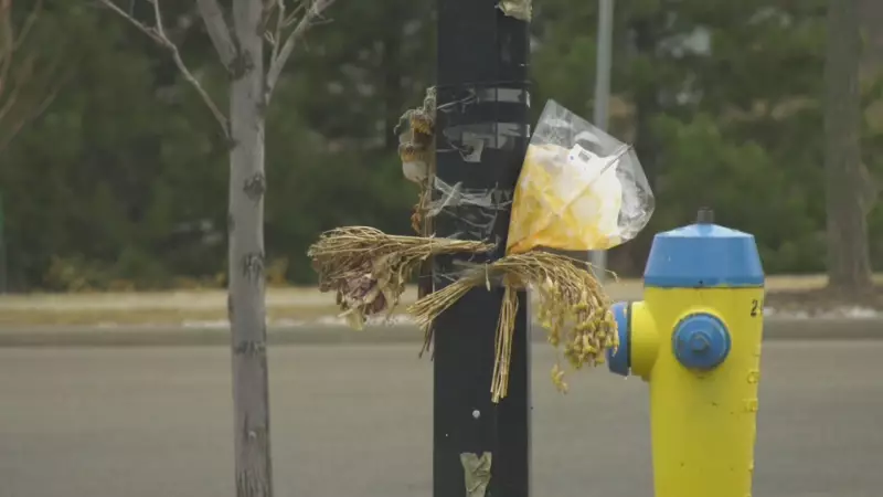Edmonton Addresses Traffic Safety in Edgemont After Fatal Crash