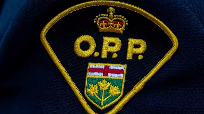 Elgin County Man Charged with Child Luring: Police Seek Additional Victims