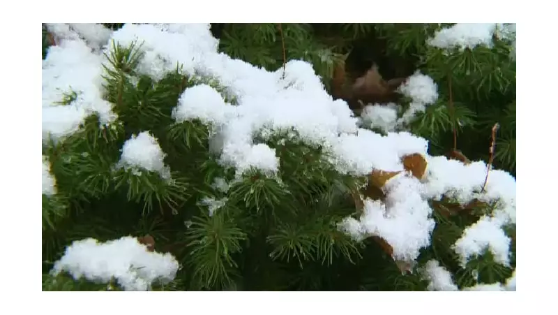 Environment Canada Warns of Sunday Snowfall in Kitchener