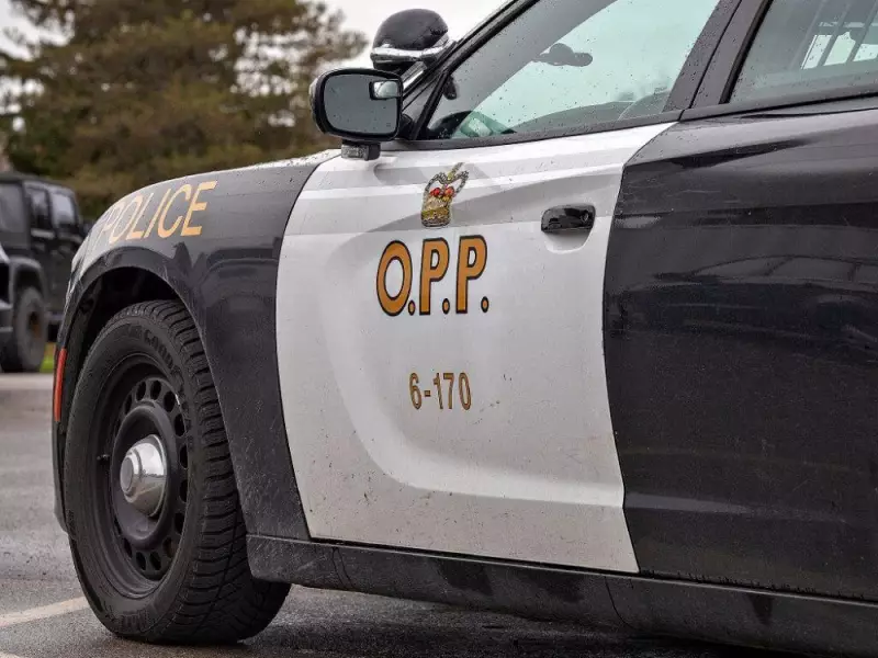 First Snowfall Causes 20 Crashes on Hwy. 401, Injures 2 OPP Officers