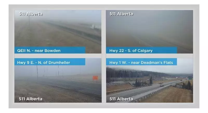 Foggy Calgary Morning Leads to Mixed Precipitation Across Alberta