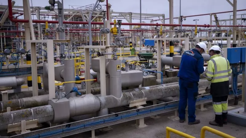 Freeport LNG Texas Plant Increases Natural Gas Intake on Friday