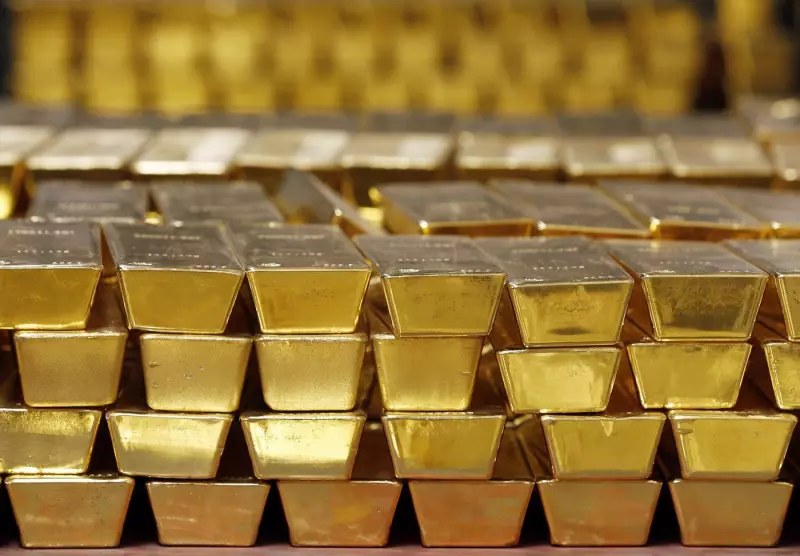 Frenchman Unearths Gold Treasure in His Own Backyard