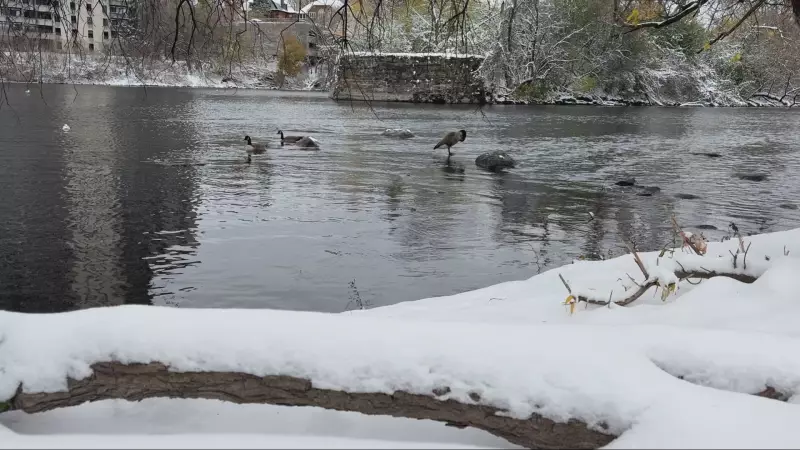 Health Experts Warn Ontario Faces 'Very Tough' Flu Season Ahead