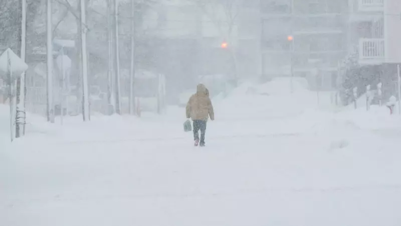 Heavy Snow Hits New Brunswick, Rain and Wind Target Nova Scotia and PEI