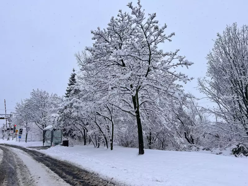 Heavy Snowfall Paralyzes Quebec: Power Outages and School Closures Persist