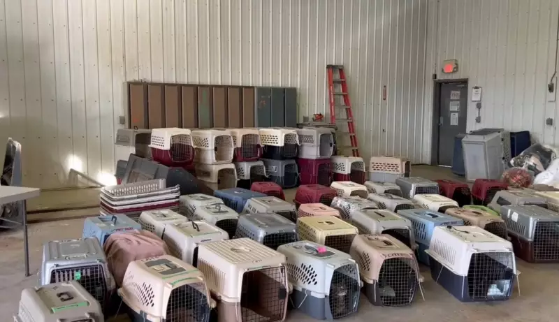 Hundreds of Animals Seized in Alberta: Animal Cruelty Charges Laid