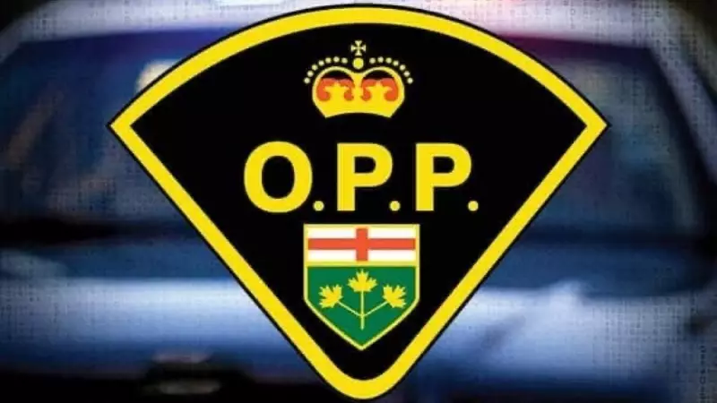 Huron County Road Closed After Snowplow Collision on November 10
