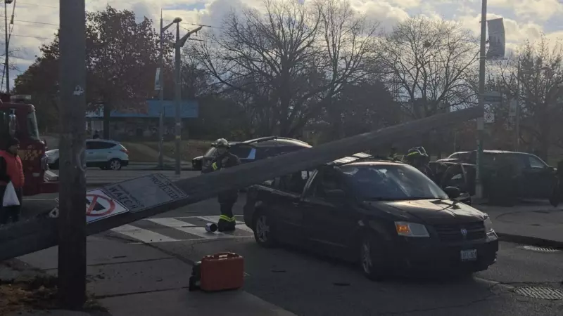 Hydro Pole Collision Injures Woman in Toronto's West End