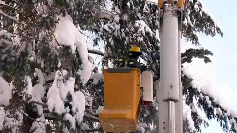 Hydro-Québec Restores Power to Most Customers After Major Snowstorm