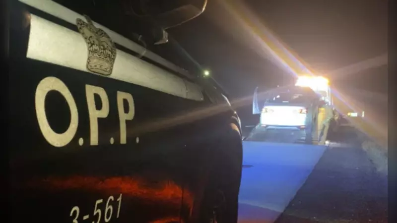 Idaho Driver's Speeding Excuse Fails in Ontario: 'Just a Visitor' Doesn't Fly with OPP