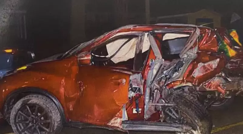 Impaired Tesla Driver Sentenced to 8 Years for 196 km/h Deadly Crash