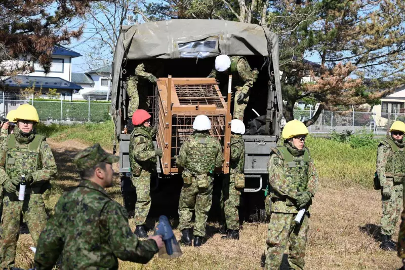 Japan Deploys Military Forces to Combat Alarming Surge in Wild Bear Attacks