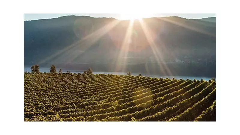 Kelowna Earns UNESCO Creative City of Gastronomy Title - First in Canada