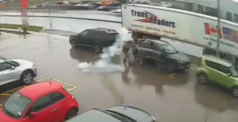 Kitchener Arrest Caught on Camera: Police Apprehend Wanted Man