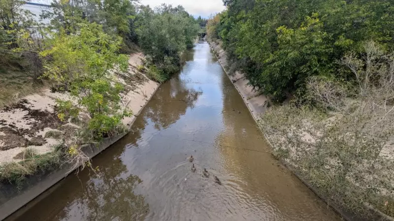 Kitchener Cleans Up Environmental Spill at Schneider Creek