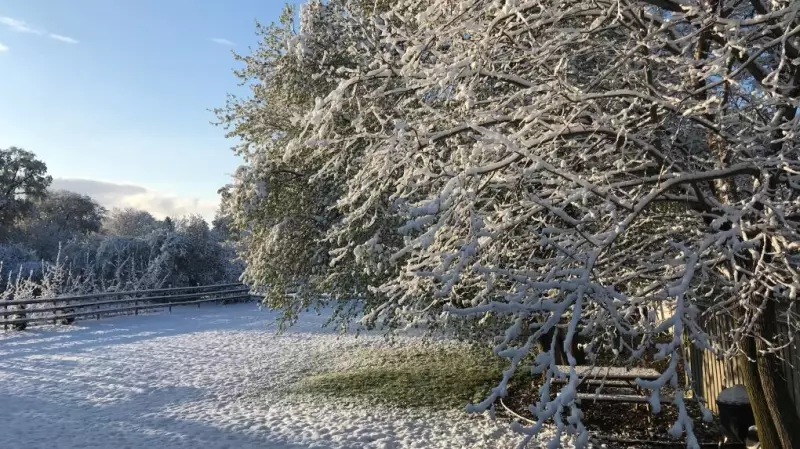 London's First Snowfall Expected This Weekend with Freezing Temperatures
