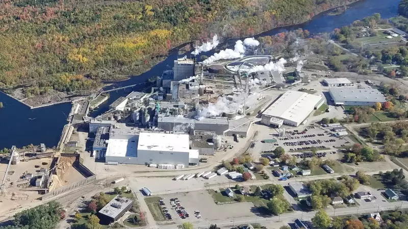 Maine Paper Mill Halts New Brunswick Softwood Lumber Imports