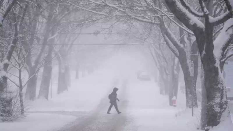 Major Winter Storm to Hit Maritimes with Heavy Snow and Rain