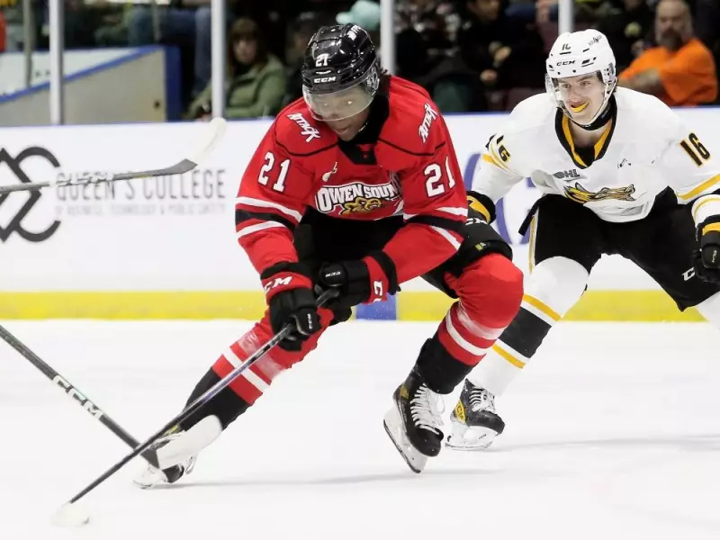 Maple Leafs Prospect Harry Nansi Taking OHL By Storm With Red-Hot Start