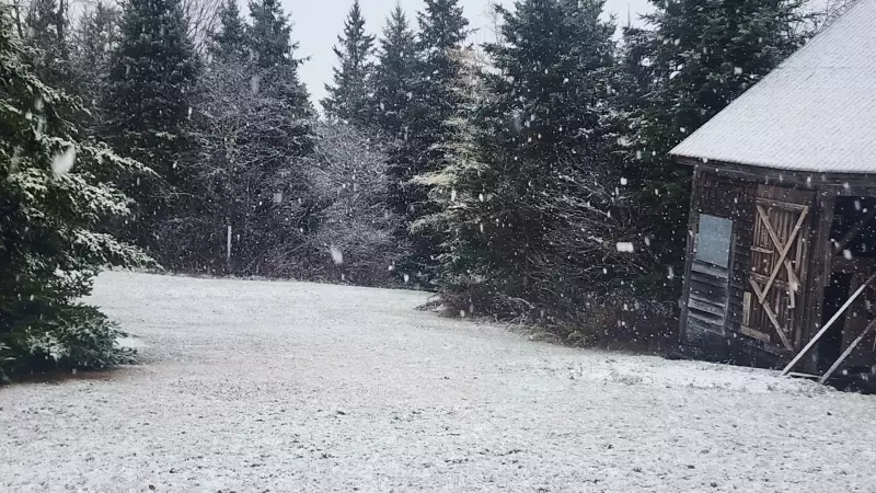 Maritime Weather Shift: Snow and Rain Give Way to Bitter Cold Front