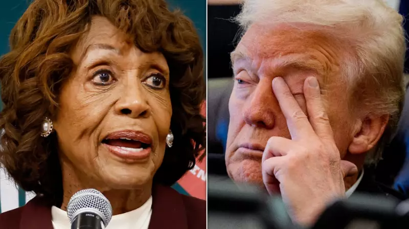 Maxine Waters Blasts 'Filthy' President Trump at Immigration Raid Hearing