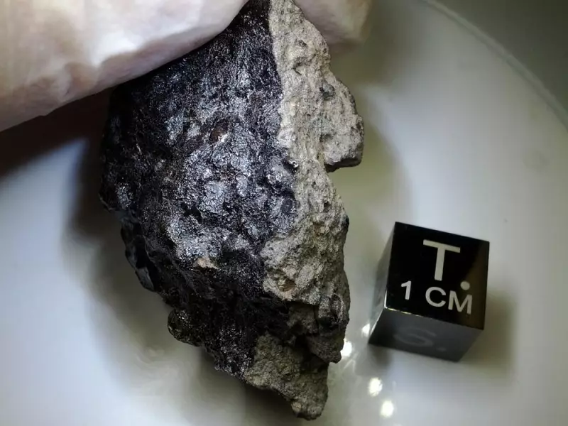 Meteorite Hunters Flock to Sahara as Morocco's Space Rock Trade Booms