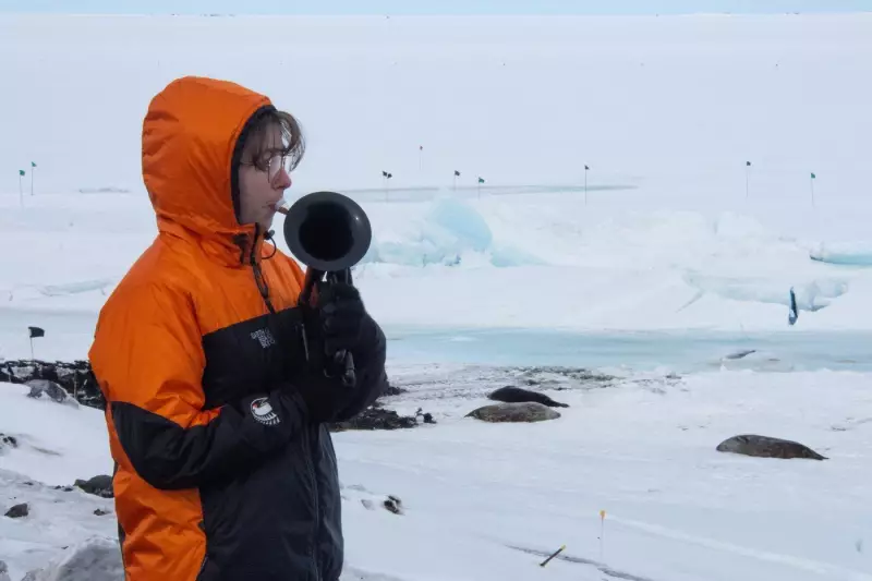 Military Musician Performs with Plastic Horn in Antarctica's Extreme Cold