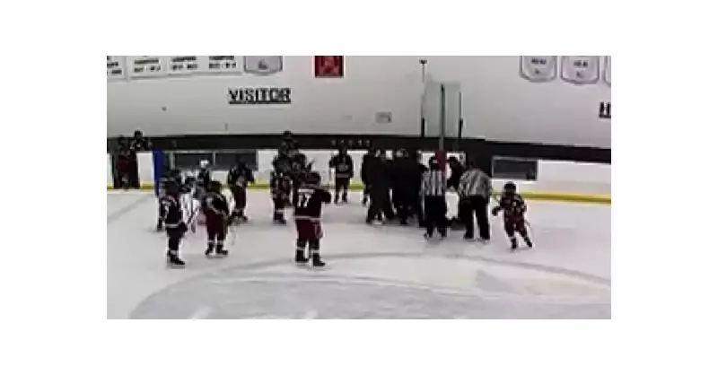 Minor Hockey Coaches Fight in Lakeshore Sparks Referee Perspective