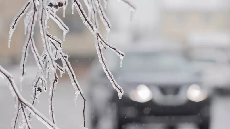 Montreal Snow Forecast Shifts to Freezing Rain Risk