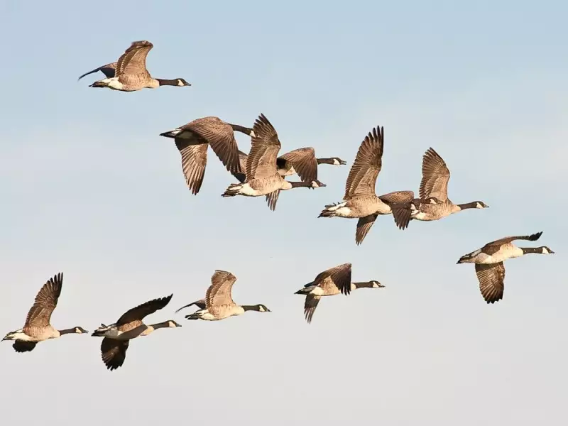 Montreal Weather: Sunny, Breezy Weekend with Above-Freezing High