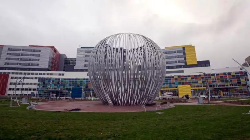 MUHC Uses AI to Optimize Chemotherapy Treatments in Montreal