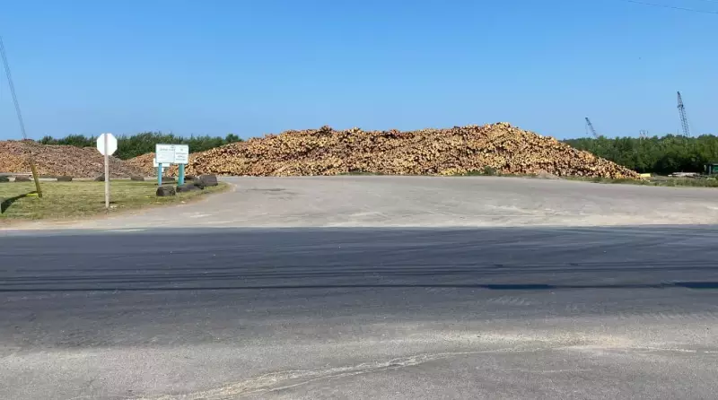N.B. Woodlot Owner Warns Forestry Crisis Over Tariff Situation