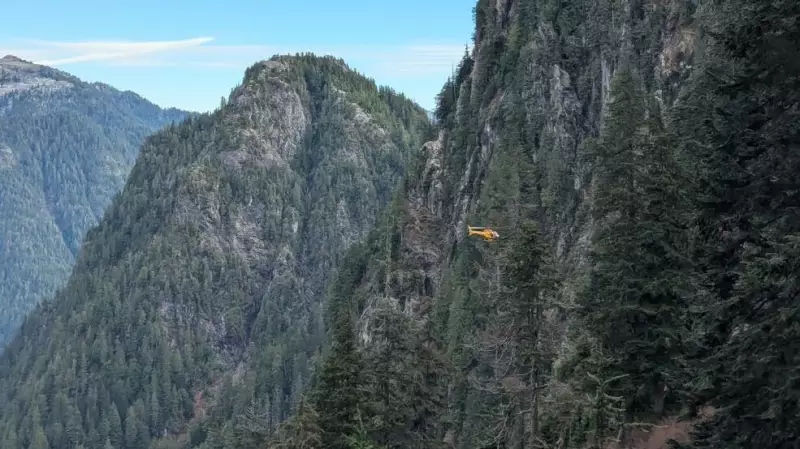 North Shore Rescue Resumes Search for Elderly Hiker on Grouse Mountain
