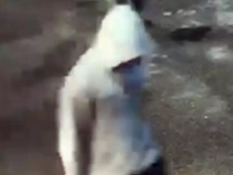 North York Sports Bar Targeted in Suspicious Blaze, Police Hunt Arson Suspect