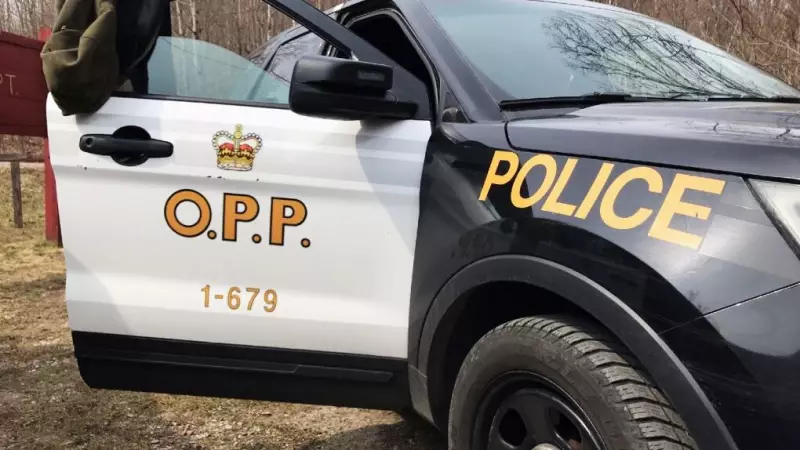 Northern Ontario G2 Driver Charged with Impaired Driving After Halloween Incident
