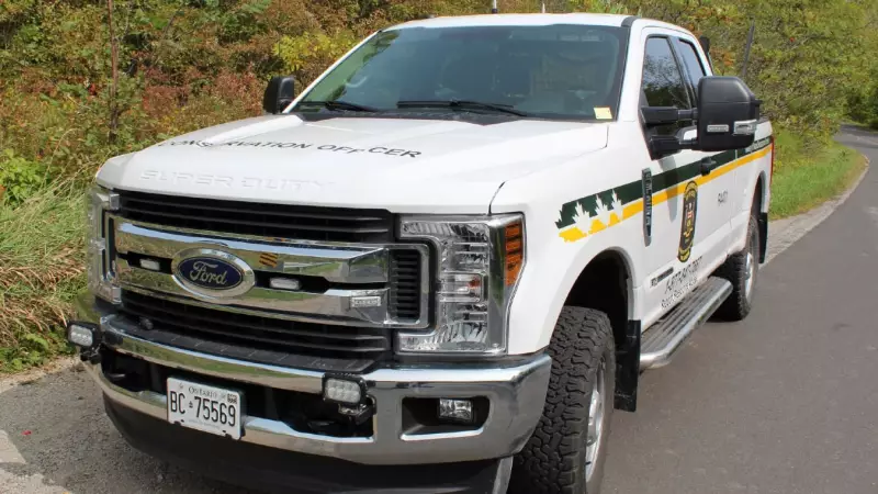 Northern Ontario Hunters Slammed With $113K in Fines for Major Moose Hunting Violations