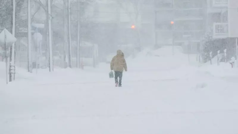 Northwestern New Brunswick Sees First Major Snowfall of Season