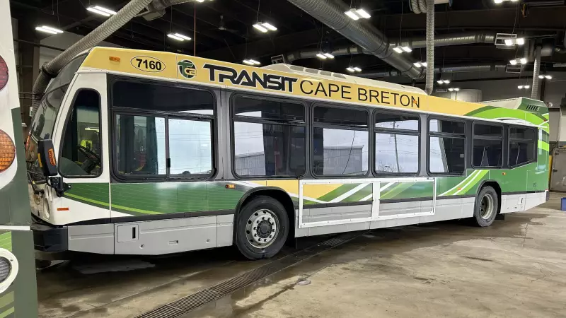 Nova Scotia Expands Free Transit Program to Cape Breton: More Communities Gain Access