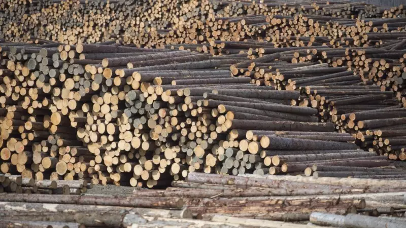 Nova Scotia Invests $1.8M in Forestry Innovation Trust
