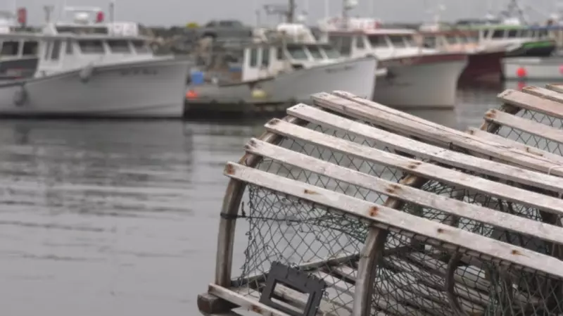 Nova Scotia Launches New Unit to Combat Illegal Seafood Trade