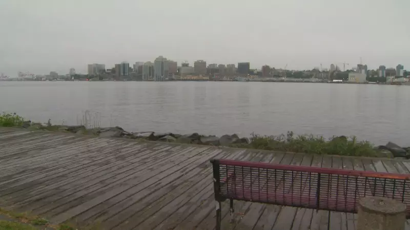 Ontario Snowstorm Brings Mild, Rainy Weather to Maritimes