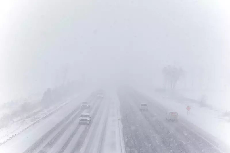 Ontario Winter Storm Dumps 70 cm of Snow, Disrupts Travel