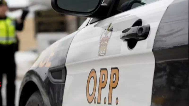 OPP Charges 34 Drivers in Festive RIDE Program's First Week