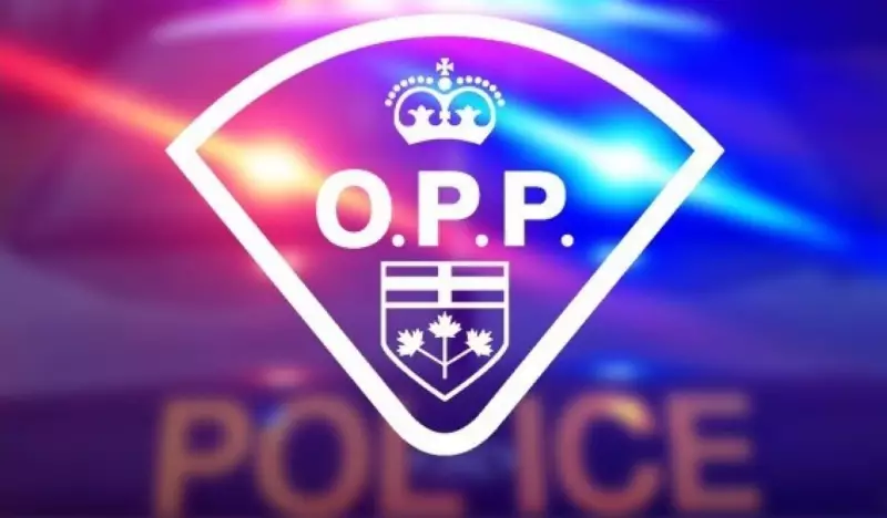 Ottawa Police Arrest 25-Year-Old Man for Sexual Assault