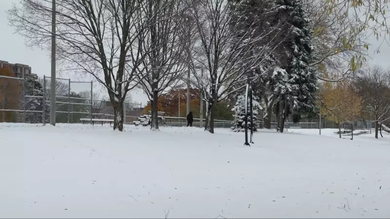 Ottawa Weather: Flurries and Showers Forecast for November 12